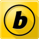 Logo of Bwin Sports android Application 